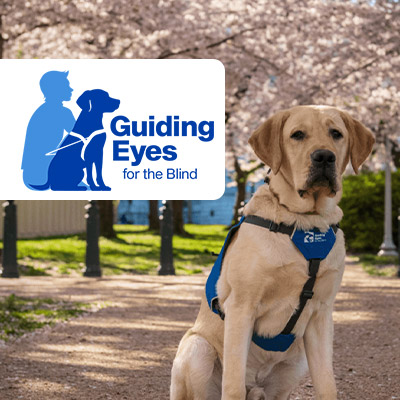 Guiding Eyes for the Blind icon