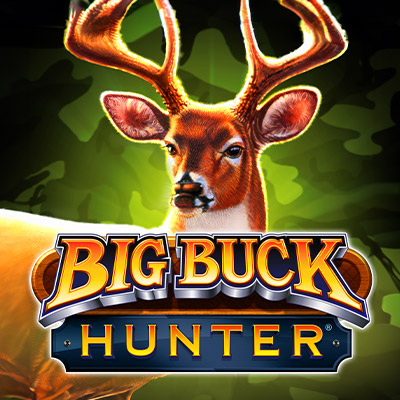 Big Buck Hunter