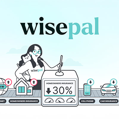 CSM - Wisepal